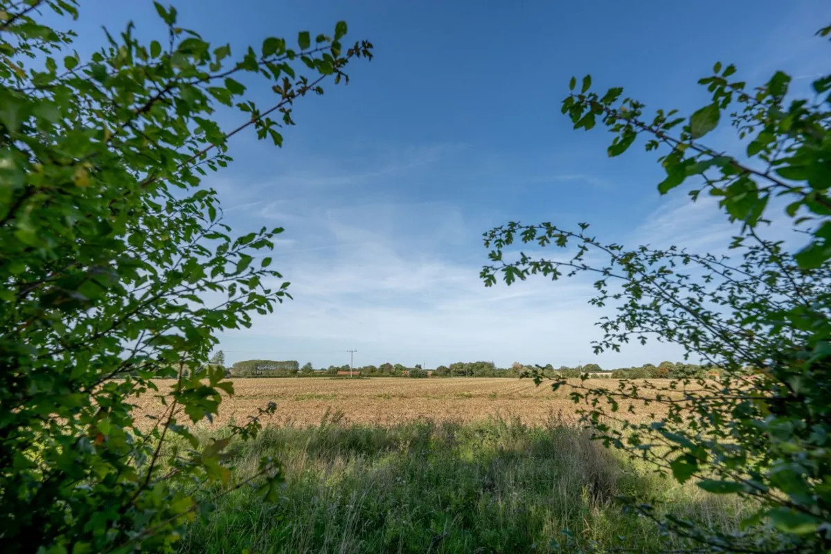 Wells Road, Hindringham, NR21, photo 5