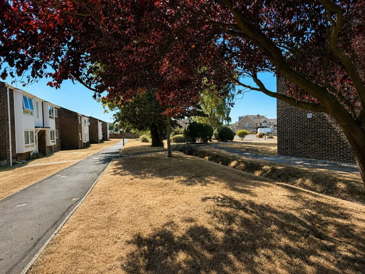 Summerfields Avenue, Hailsham, East Sussex, BN27, photo 11
