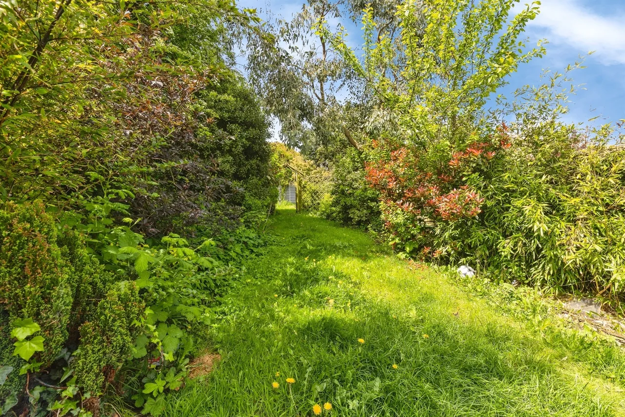 Thornhill Gardens, Hartlepool, TS26, photo 11