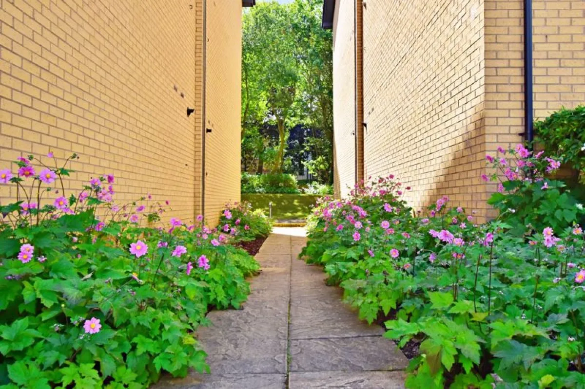 Manton Road, Uphill, photo 13