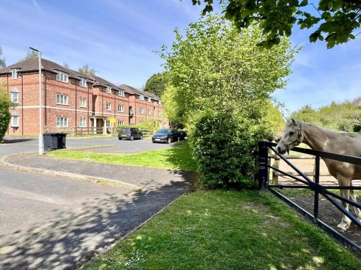 Hall Green, Birmingham, B28, photo 2