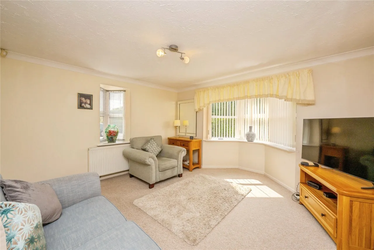 Reedmace, Tamworth, Staffordshire, B77, photo 3