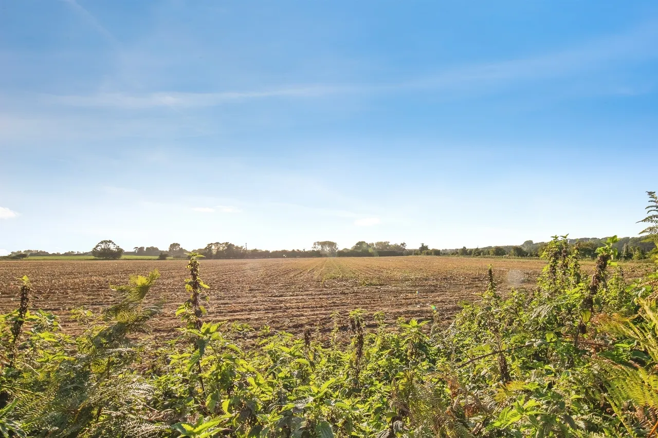 The Street, Alderton, IP12, photo 3