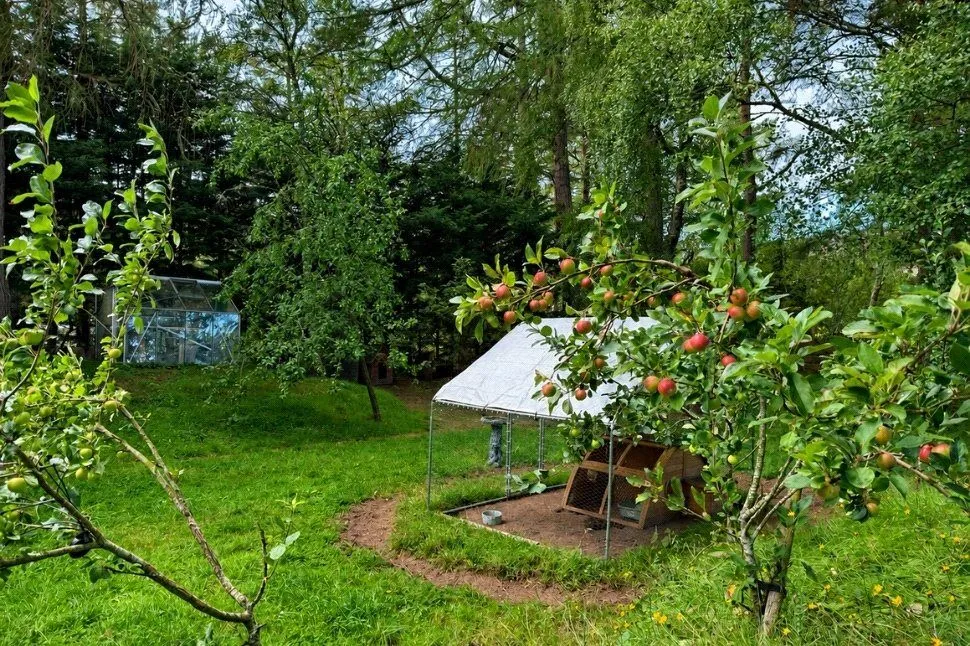Glenlivet, Ballindalloch, Moray, AB37, photo 4