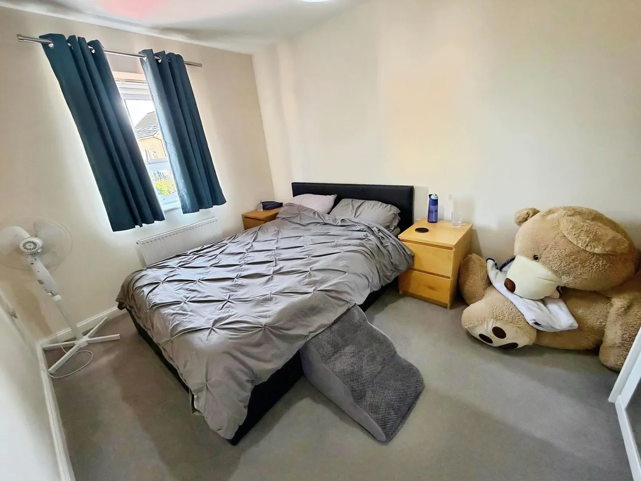 Lockwood Way, Hampton Water, Peterborough, PE7, photo 6