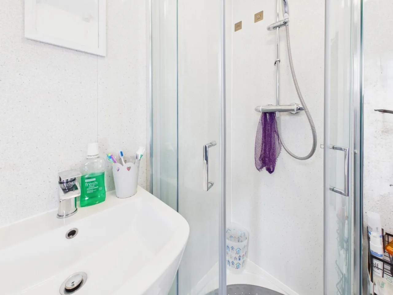 Temeraire Road, Manadon Park, PL5, photo 11