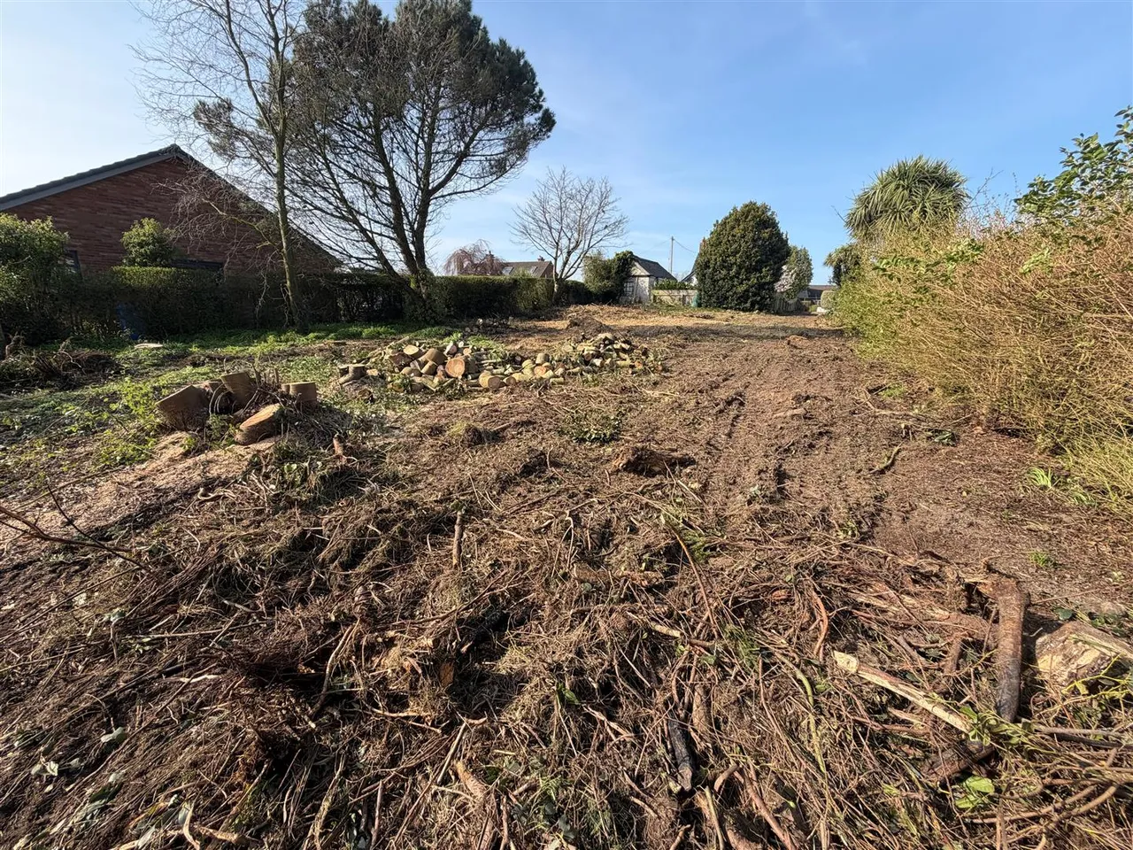 Dixon Road, Bangor, BT19, photo 5
