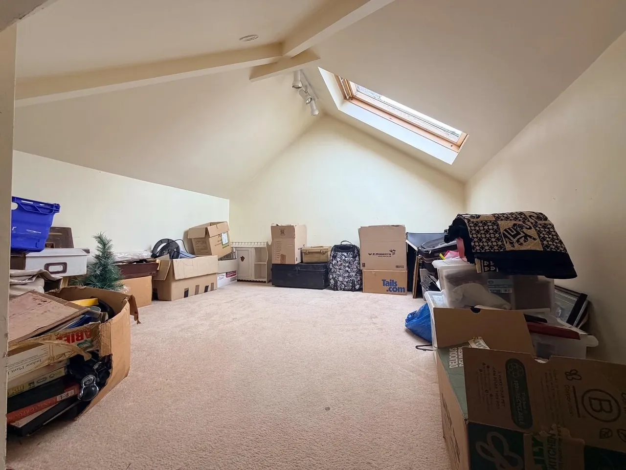 Monica Road, Leicester, LE3, photo 13