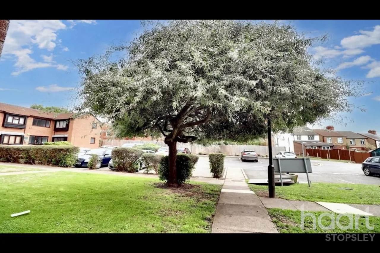 Colin Road, Luton, LU2, photo 17