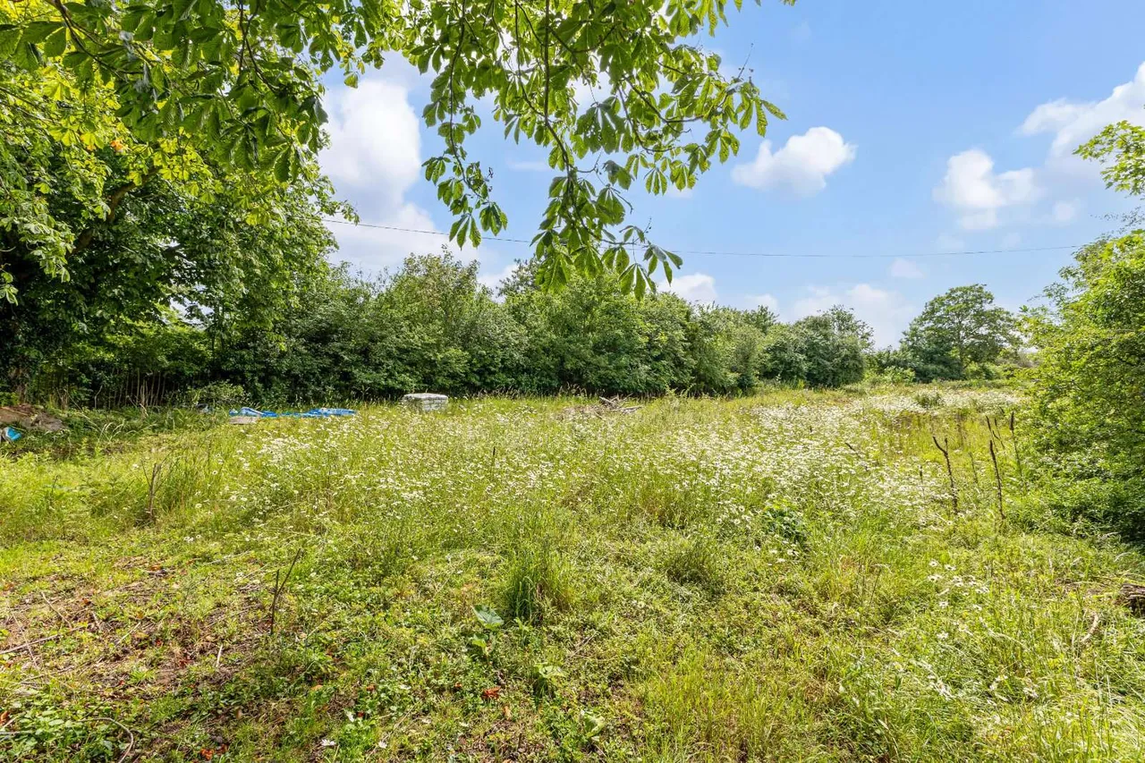 Abingdon Road, Dorchester-on-Thames, Wallingford, Oxfordshire, OX10 7LB, photo 7