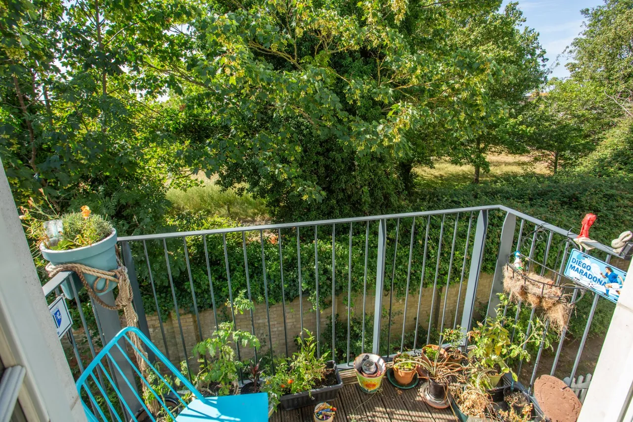 Clarence Road, Herne Bay, CT6, photo 10