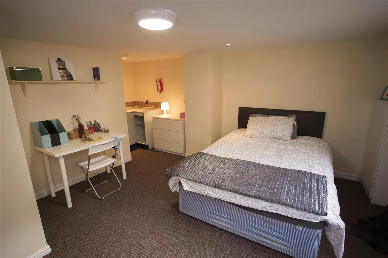 Ash Road, Headingley, LS6, photo 4