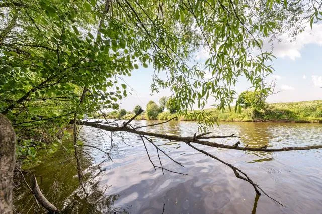 Wyedean Rise, Hereford, HR2, photo 23