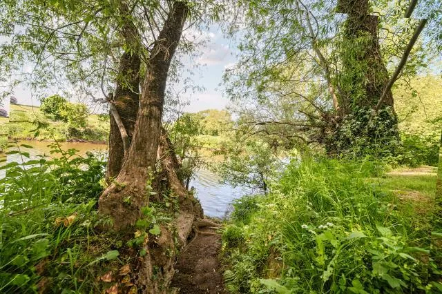 Wyedean Rise, Hereford, HR2, photo 24