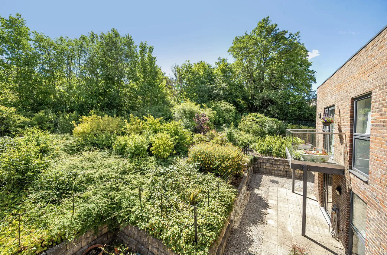 Lower Turk Street, Alton, GU34, photo 9