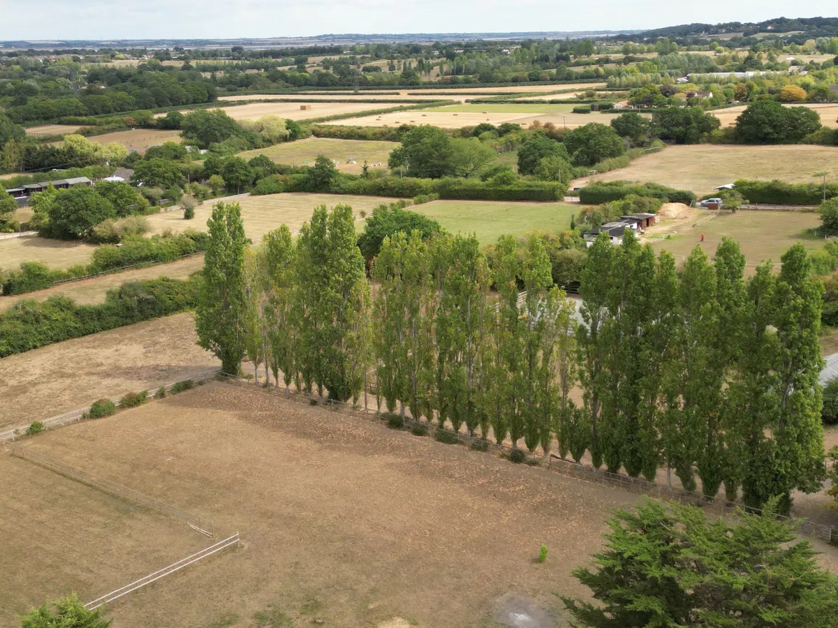 Rayleigh, SS6, photo 25