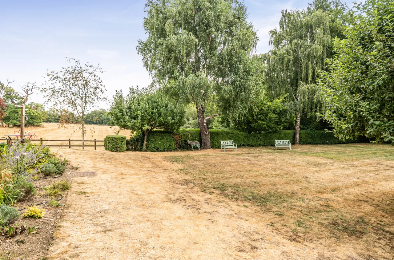 Portsmouth Road, Milford, GU8, photo 17