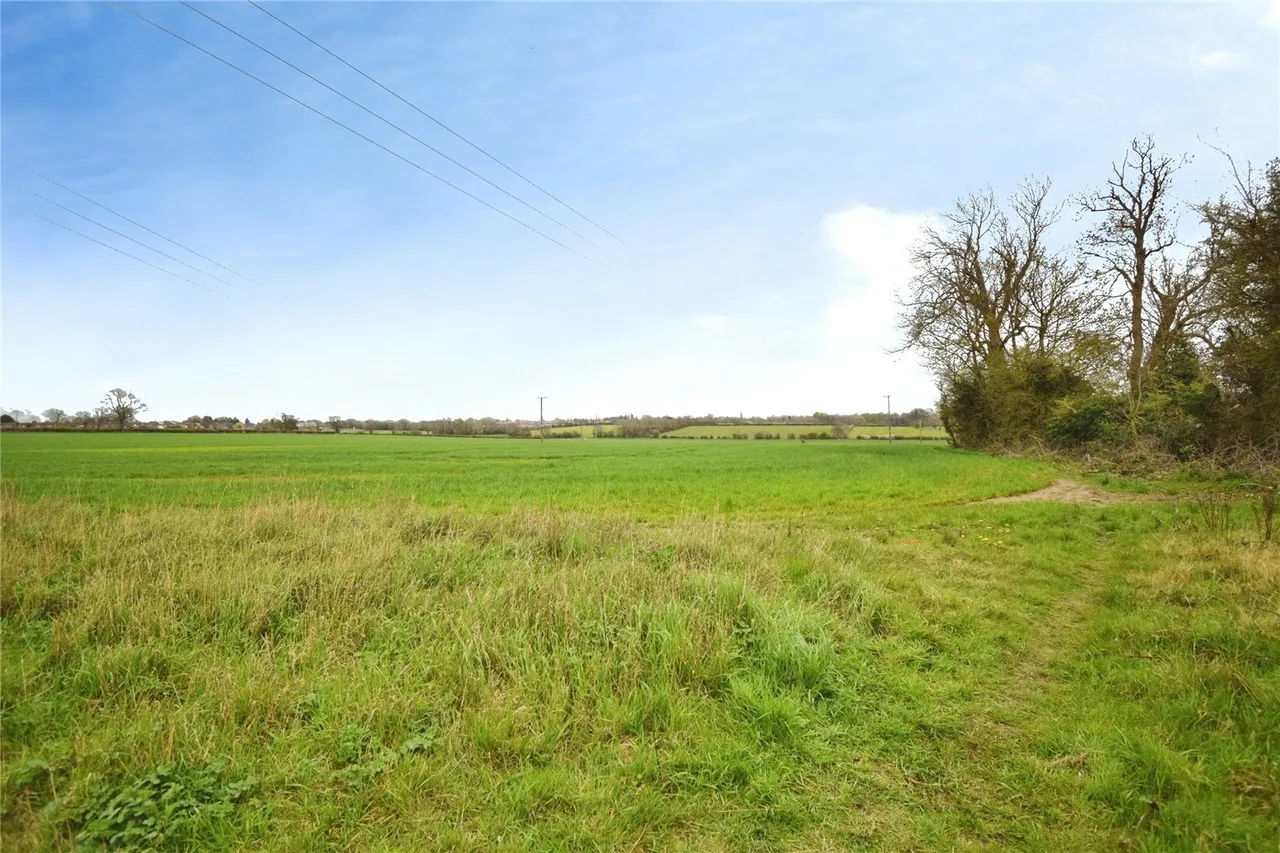 Rosedale Road, Wigston, LE18, photo 12
