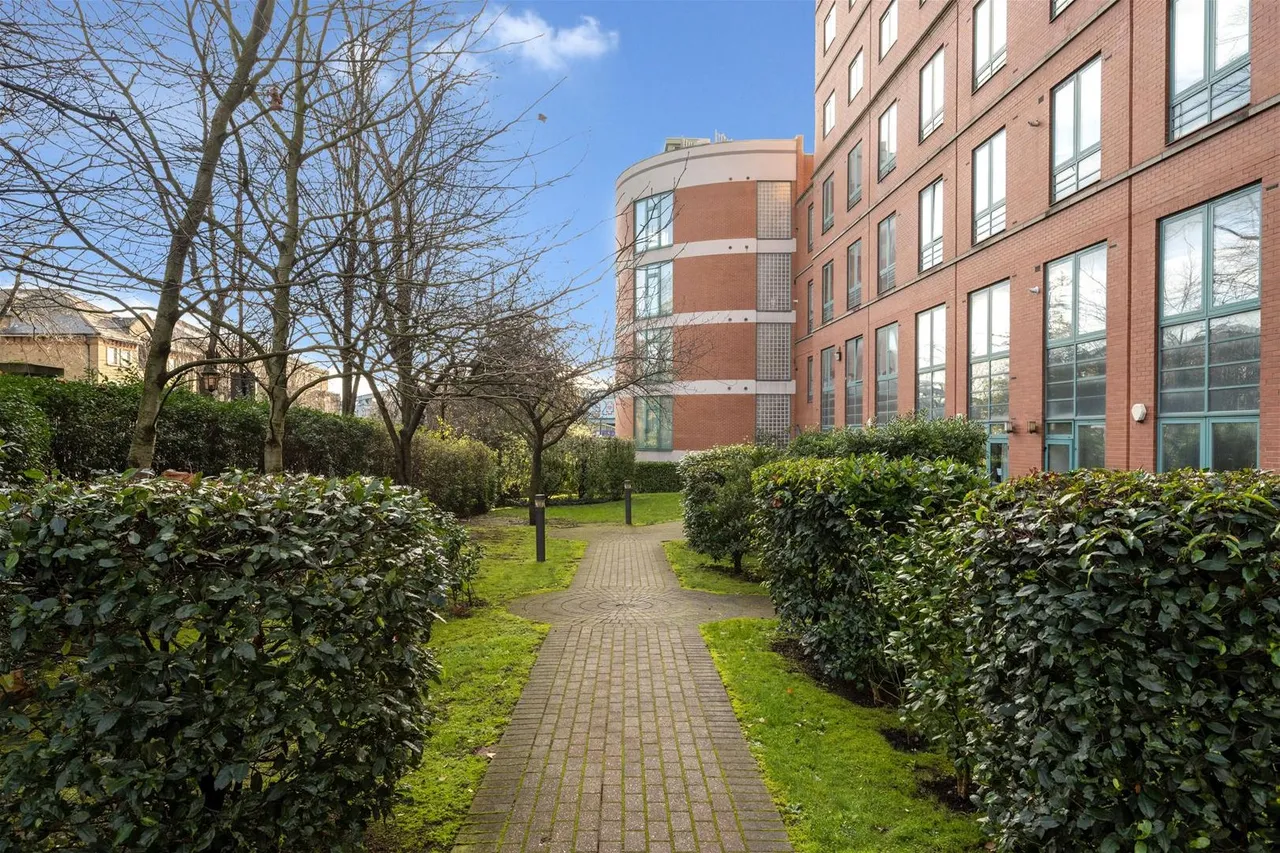 Shoot Up Hill, London, photo 6
