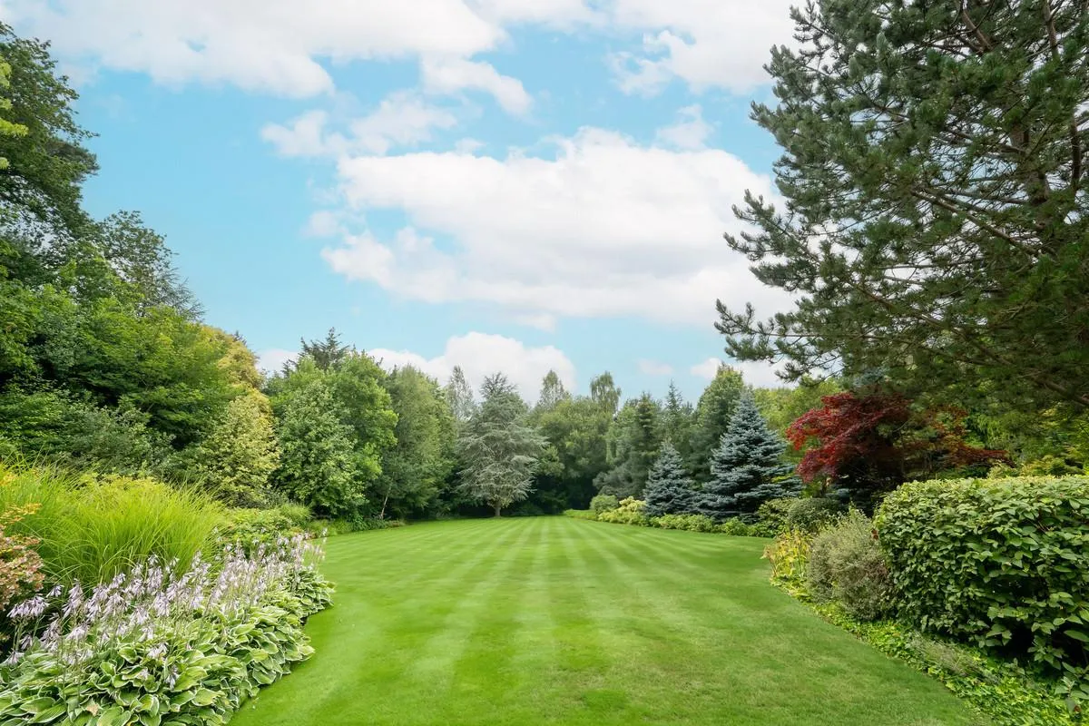 East Road, St George's Hill, KT13, photo 25
