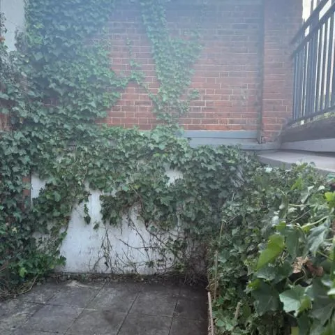 Harrow Road, London, W9, photo 18