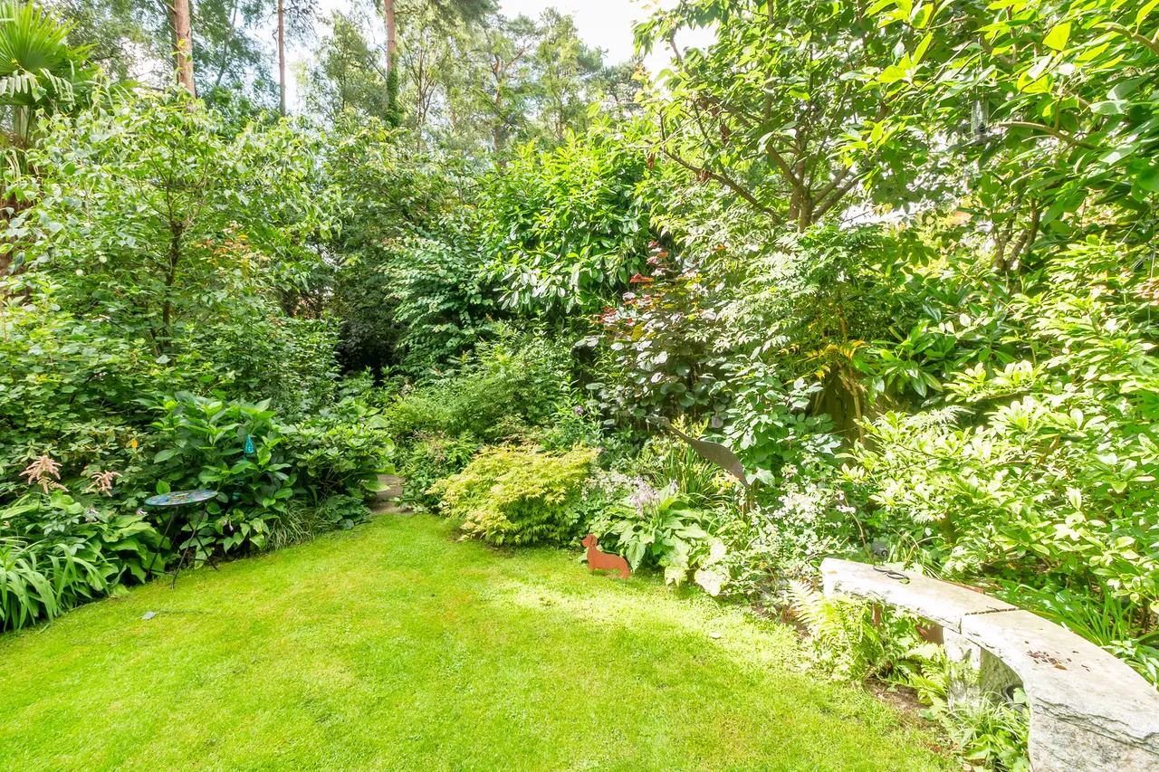 15a Park Lane, Alderholt, Fordingbridge, Fordingbridge, SP6 3AJ, photo 19