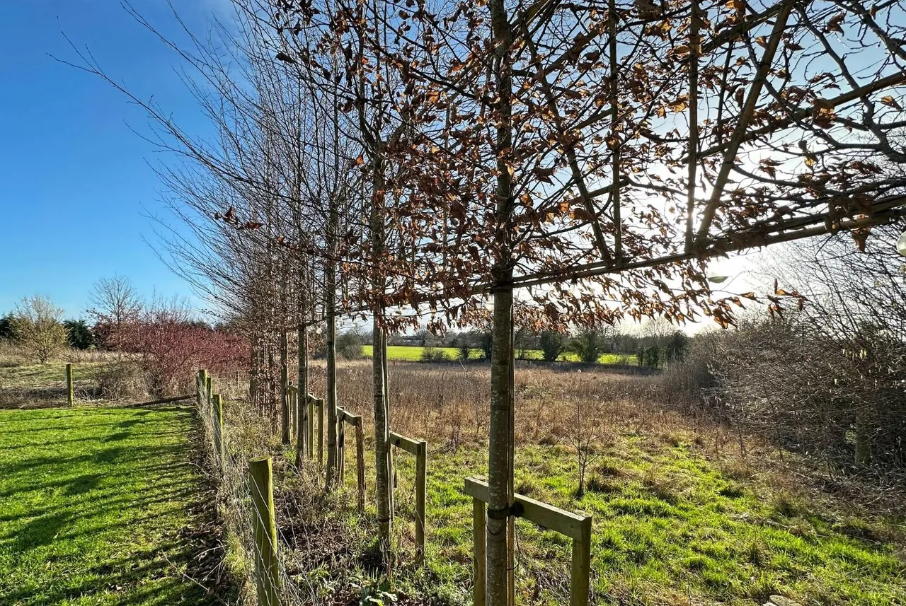 Wellfield Lane, Timperley, Cheshire WA15 7AD, photo 48