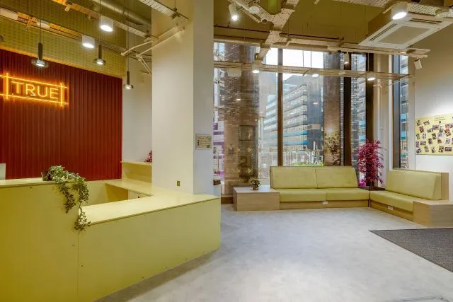 True Sky Studio, True Sheffield, 12 Tenter Street, Sheffield, S1 4XH, photo 10