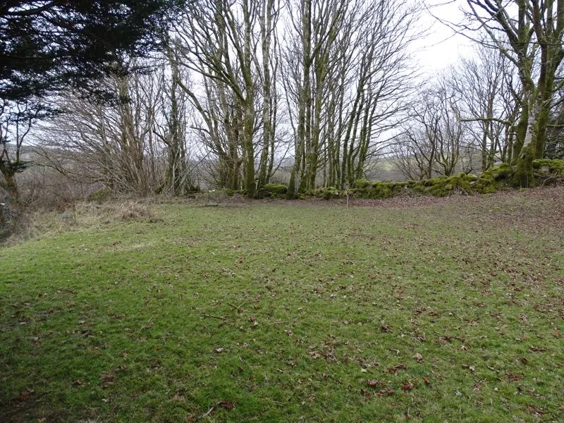 Warleggan Mount, Bodmin, PL30, photo 13