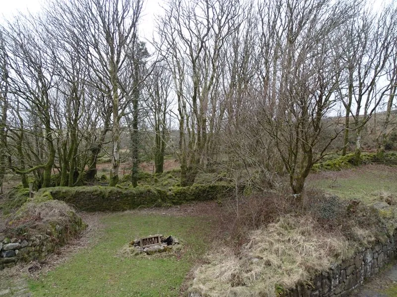 Warleggan Mount, Bodmin, PL30, photo 12