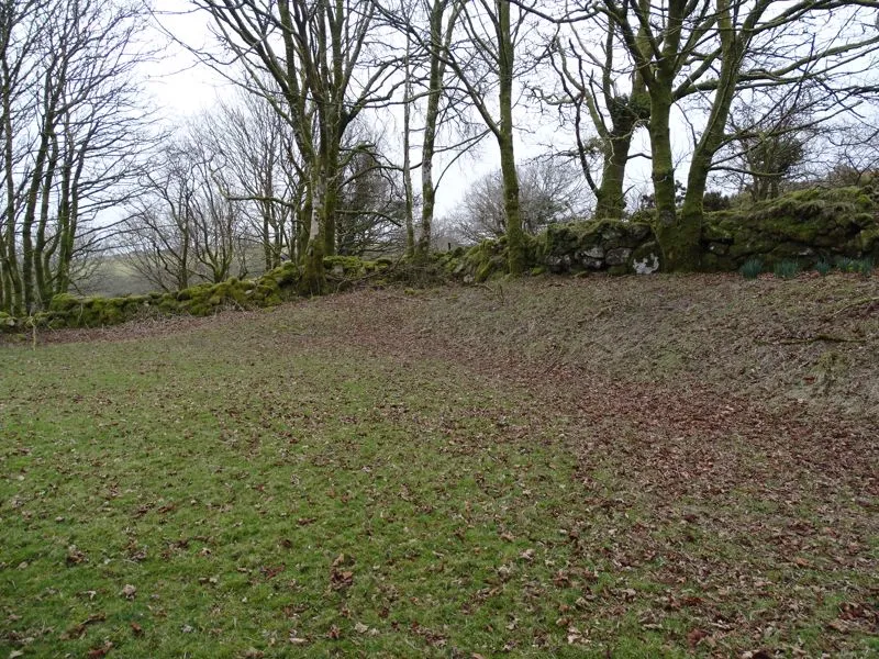 Warleggan Mount, Bodmin, PL30, photo 14
