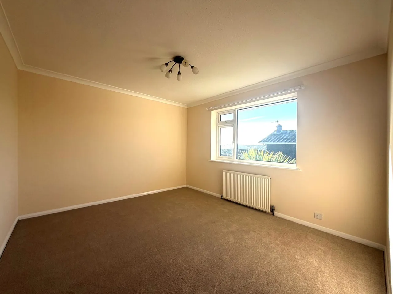 Ruthven Close, Eggbuckland, PL6, photo 12