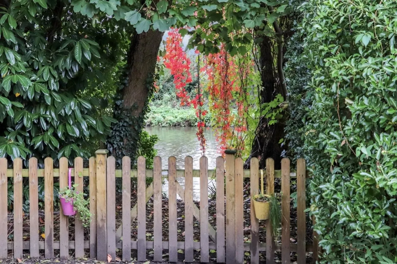 Stoughton Road, Guildford, GU1, photo 11