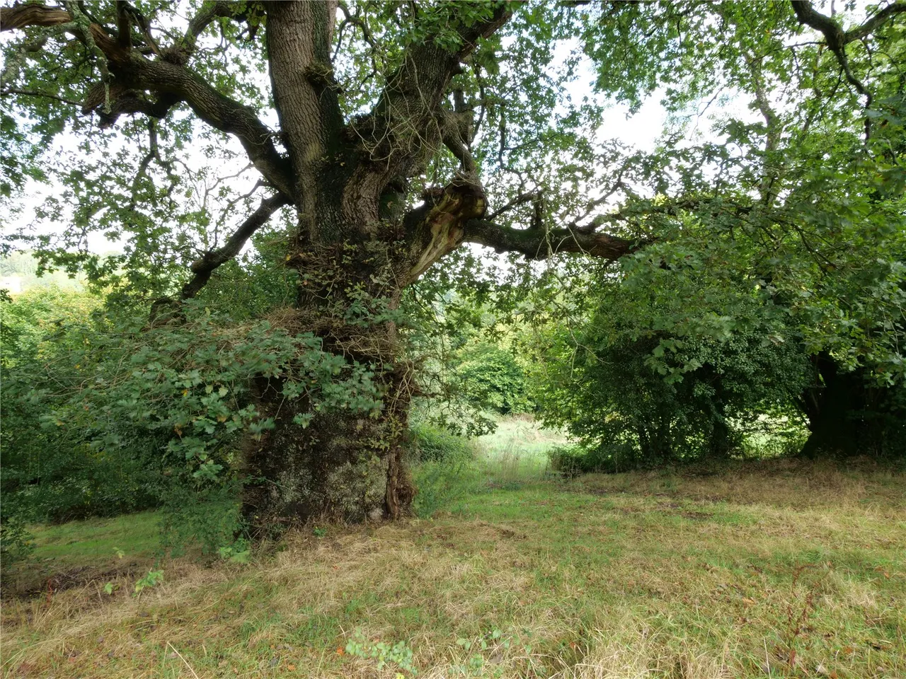 Midford, Bath, photo 26