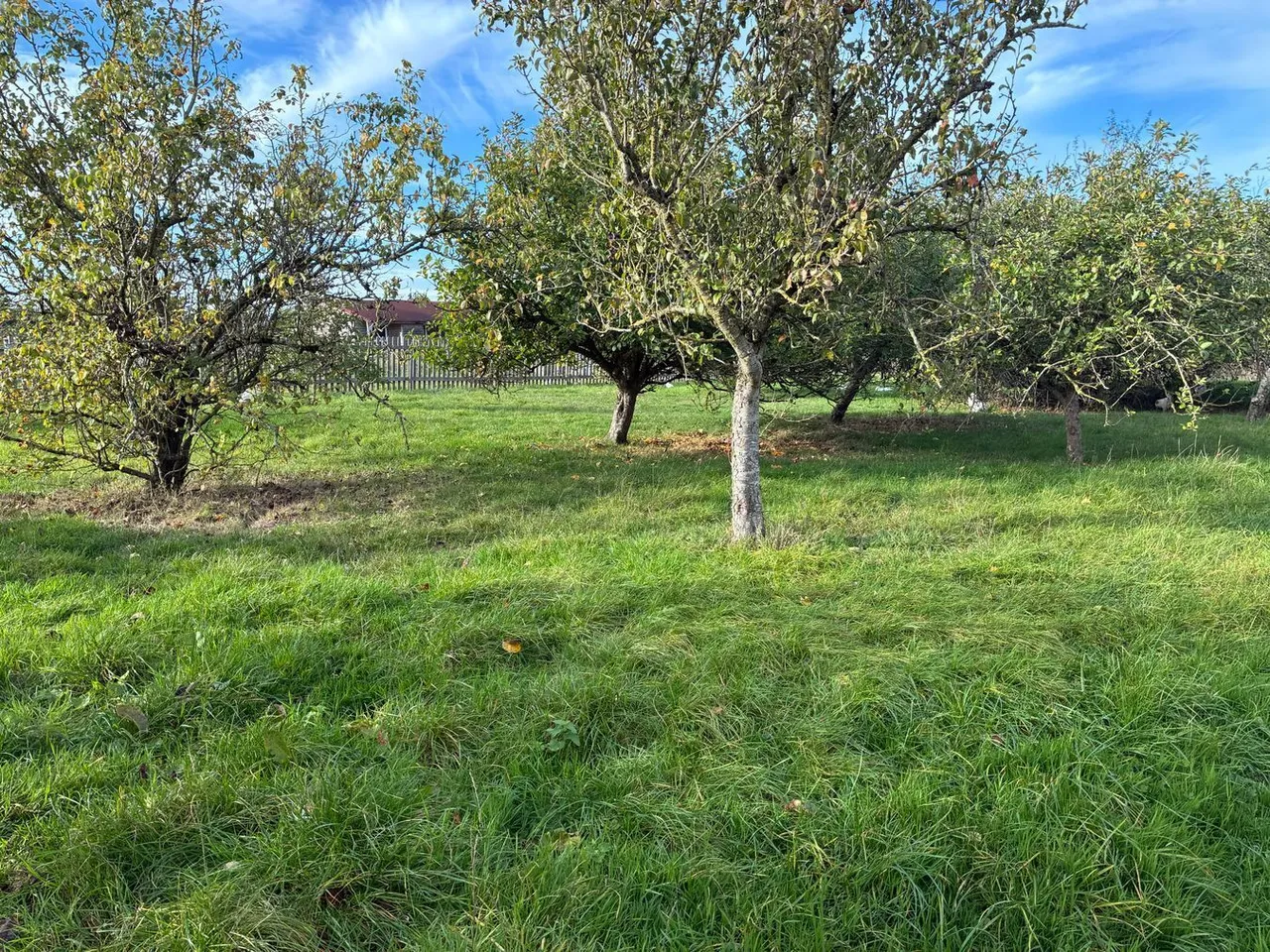 acres, Witham Friary, BA11, photo 21