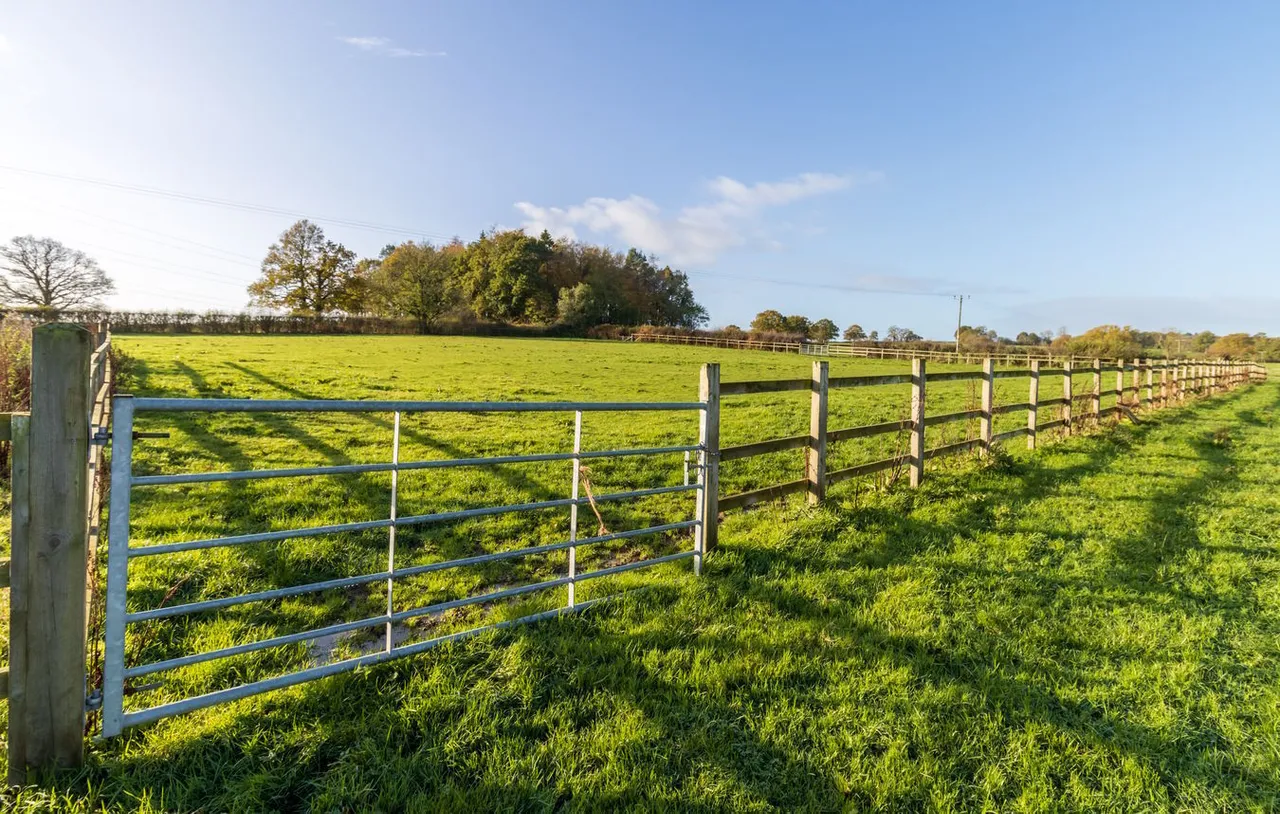 acres, Witham Friary, BA11, photo 17