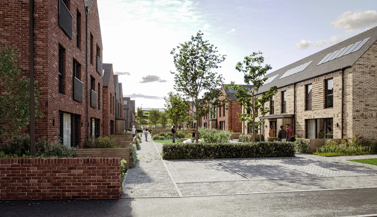 Olive Lane, Waverley, S60, photo 6