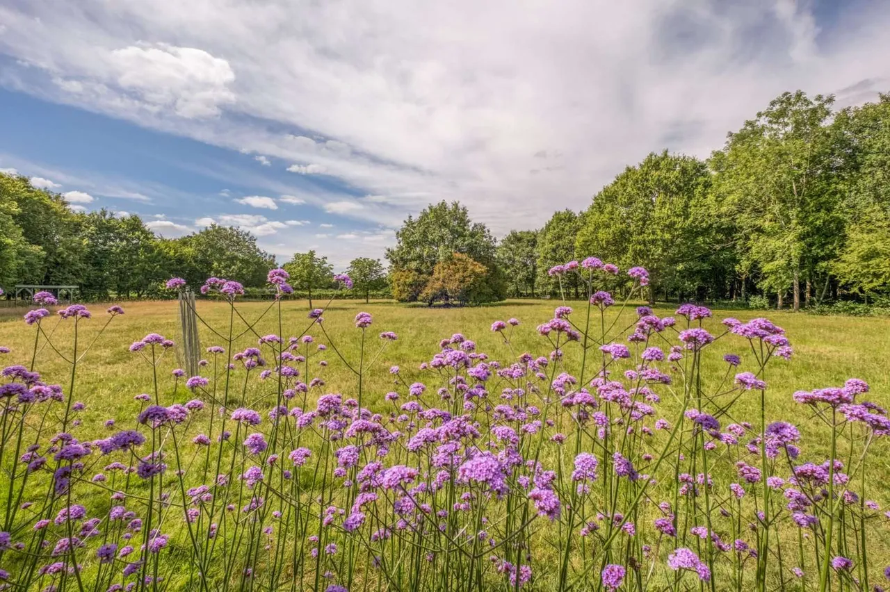 Smarden, Ashford, Kent, TN27 8NJ, photo 6