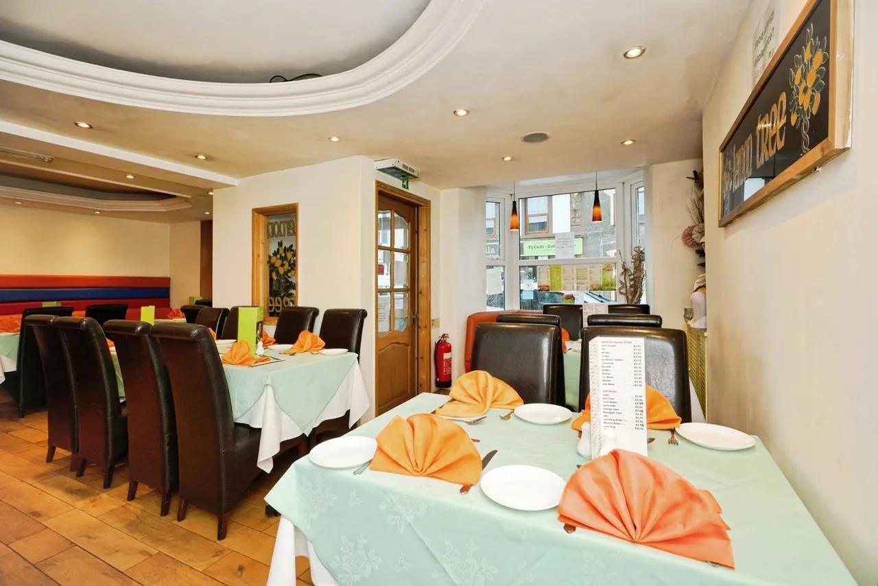 High Street, Penrhyndeudraeth, LL48, photo 9