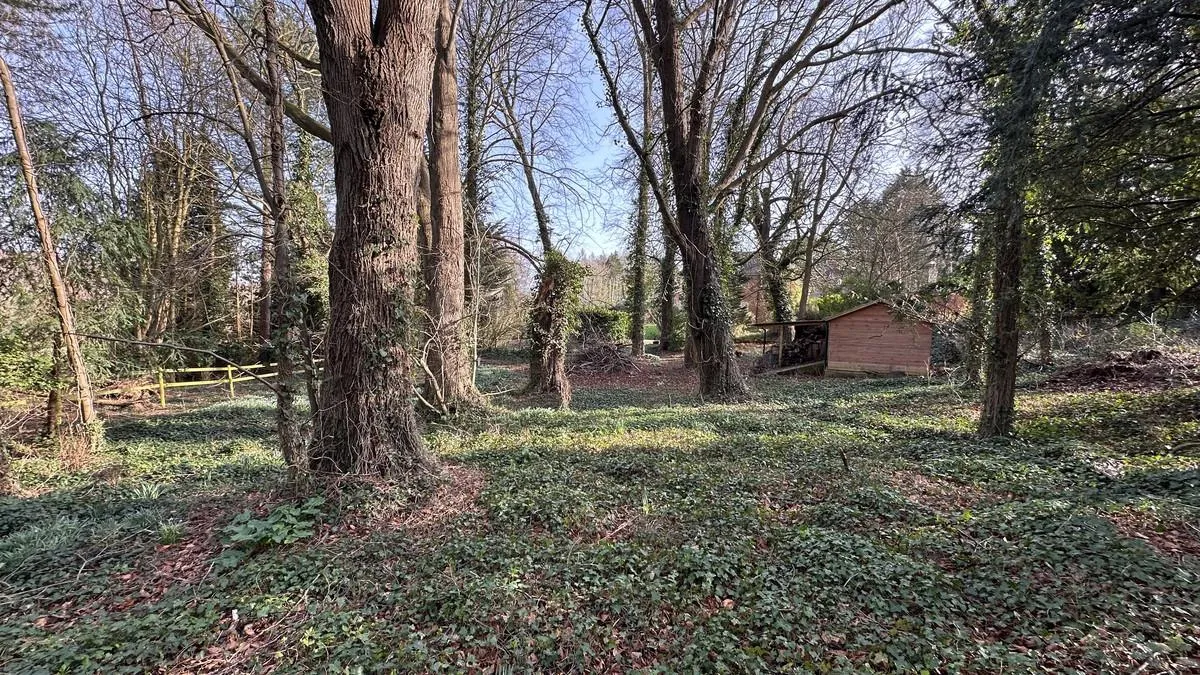Henley Road, Hurley Maidenhead, SL6, photo 29