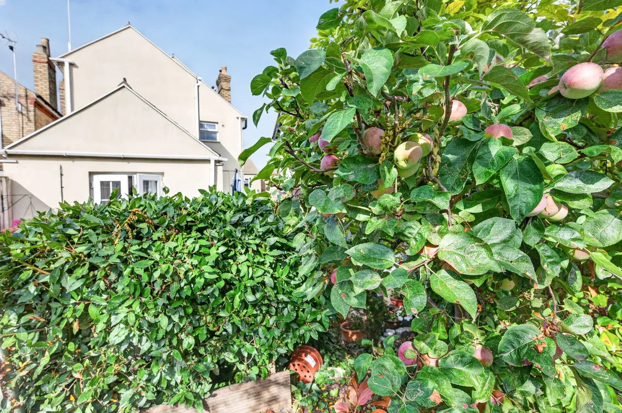 St. Johns Road, March, PE15, photo 41