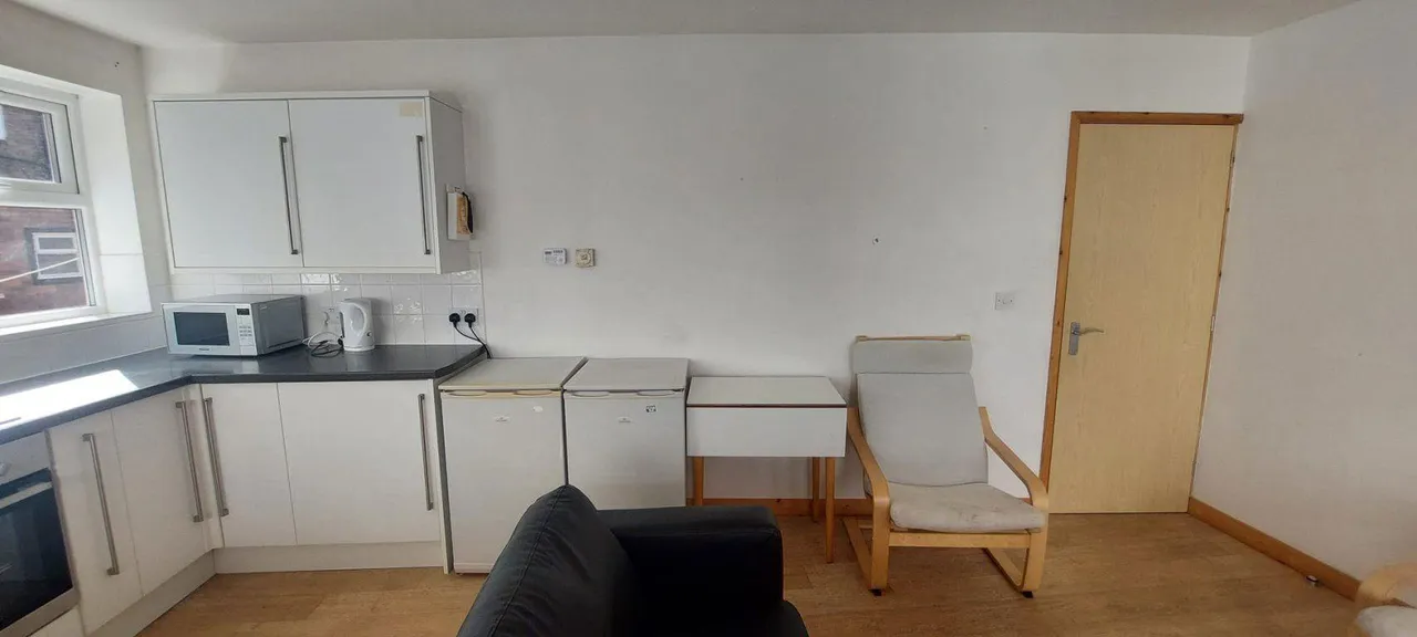 Thorpe Street, Leicester, LE3, photo 15