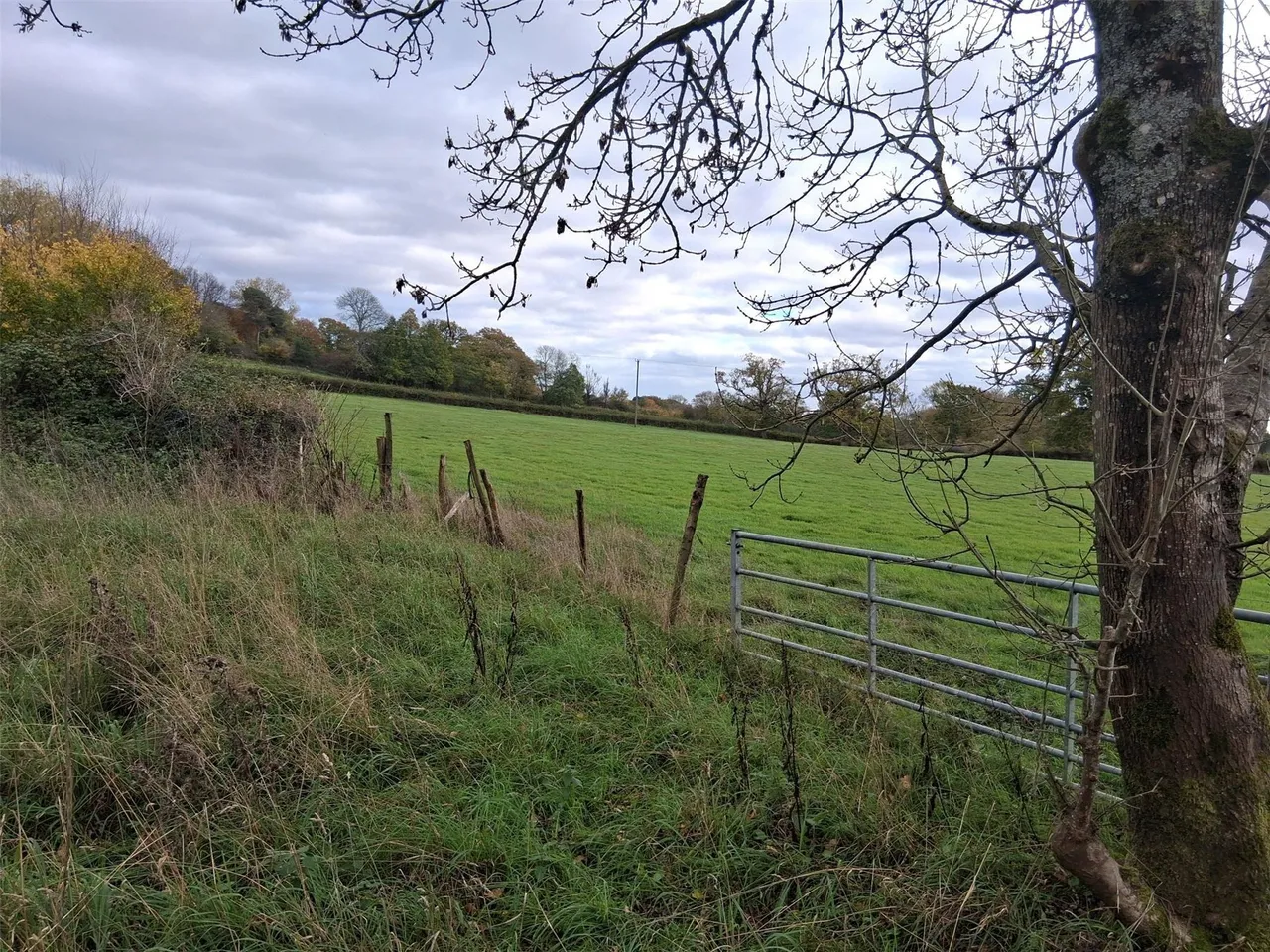 Friday Street, Ockley, RH5, photo 3