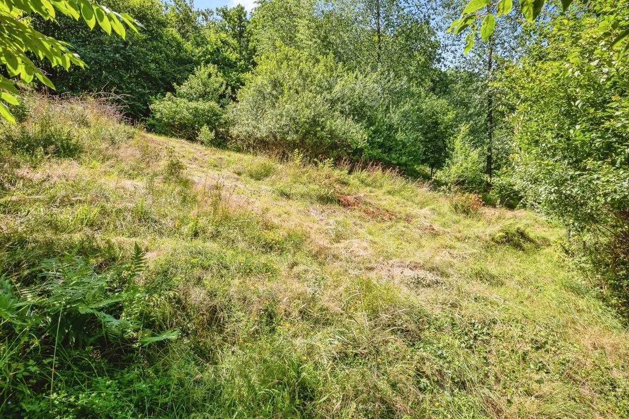 Llansadwrn, Llanwrda, SA19, photo 21