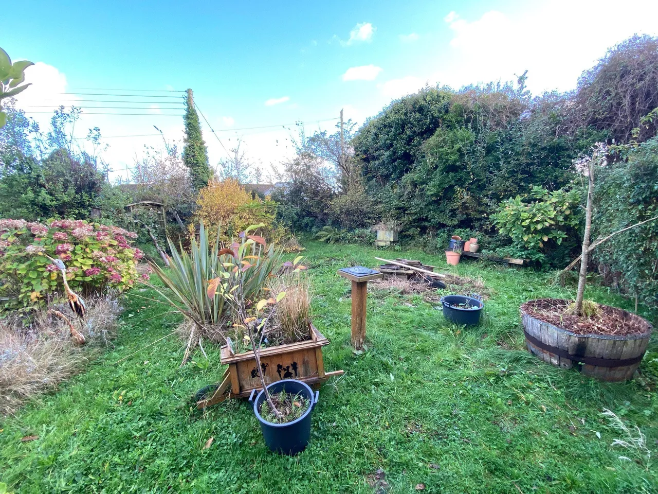 Hillhead, Stratton, EX23, photo 8