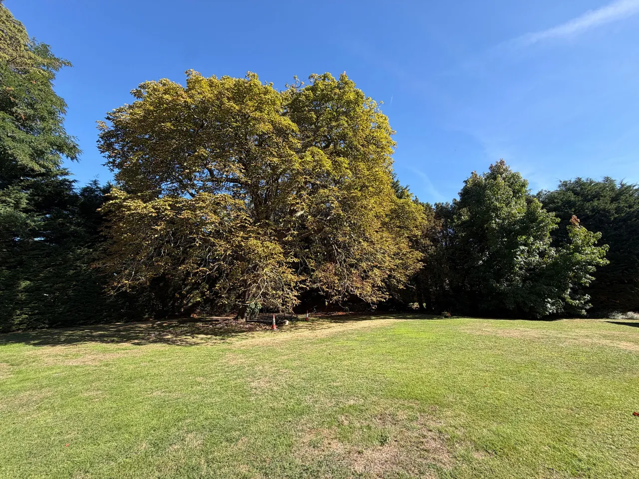 Horsham Road, Shalford, GU4, photo 8