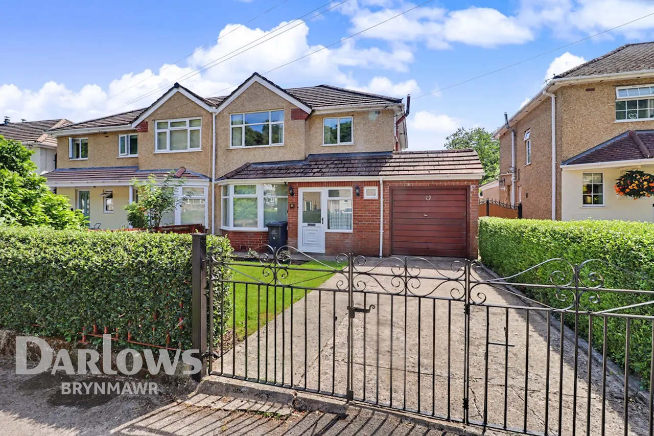 Cambridge Gardens, Ebbw Vale, photo 26
