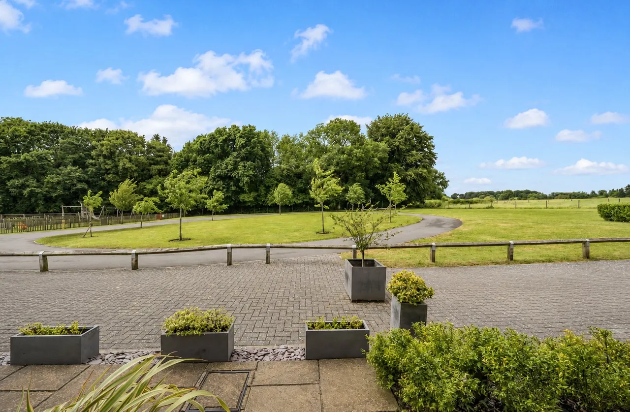 Wadebridge Rise, Medstead, GU34, photo 16