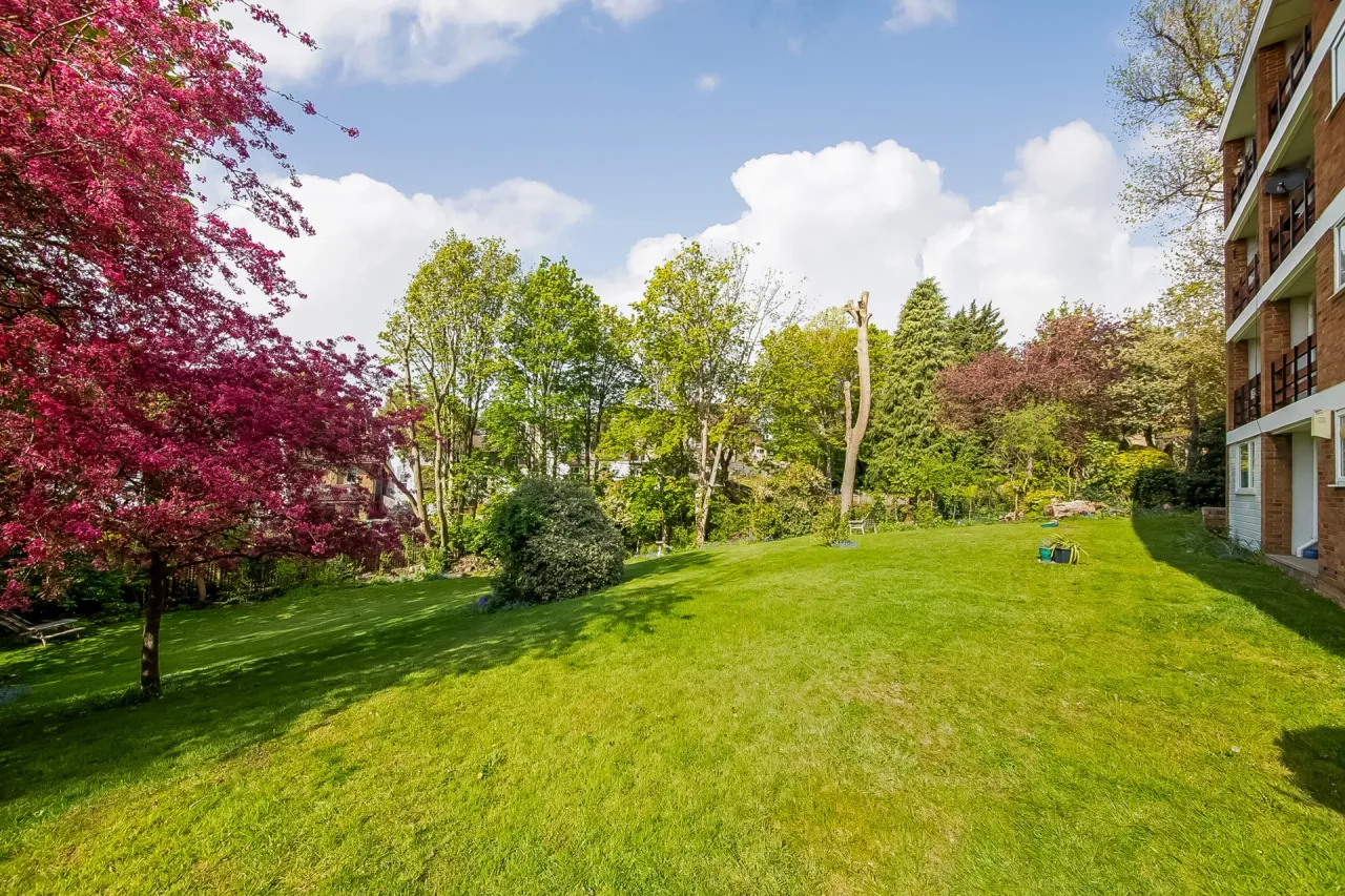 Anerley Hill, Anerley, SE19 2AB, photo 12