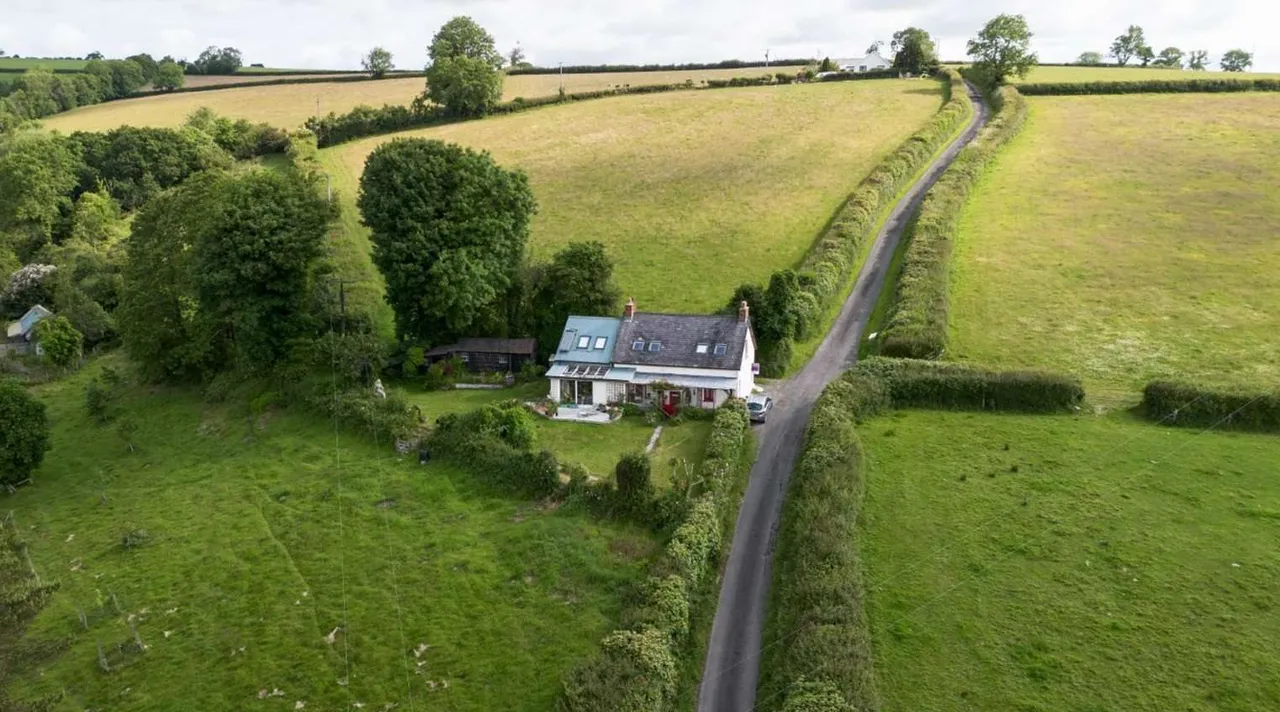 Llanboidy, Whitland, Carmarthenshire, SA34 0EP, photo 3